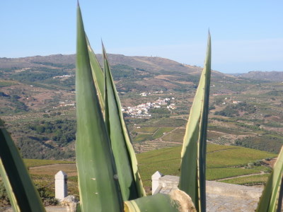 Rio Douro Region, Northern Portugal